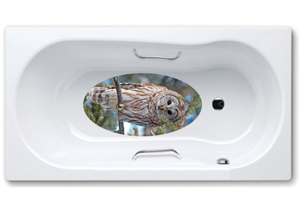 bathtub mat, anti slip,self adhesive,art,full color,shower,owl,animals.
