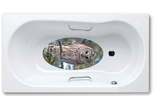 bathtub mat, anti slip,self adhesive,art,full color,shower,owl,animals.
