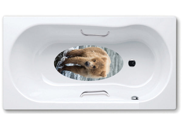 1037 Baby Bear